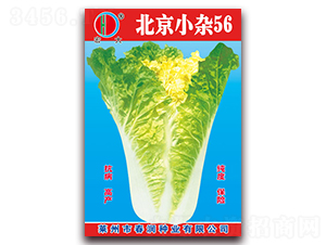 ����С�s56-�ײ˷N��-�����N�I