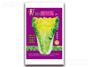 ���ջ���-�ײ˷N��-�����N�I