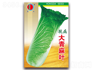 �������~-�ײ˷N��-�����N�I