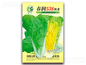 ����538���-�ײ˷N��-�����N�I