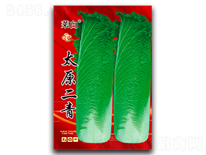 �˰�̫ԭ����-�ײ˷N��-�����N�I