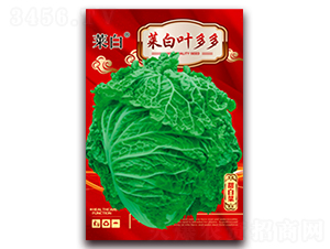 �˰��~���-�ײ˷N��-�����N�I