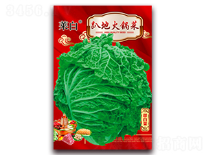 ſ�ػ�偲�-�ײ˷N��-�����N�I