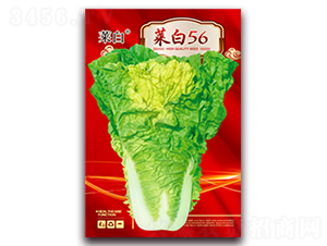 �˰�56-�ײ˷N��-�����N�I