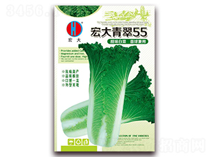 ������55-�ײ˷N��-�����N�I