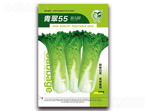 ���55-�ײ˷N��-�����N�I