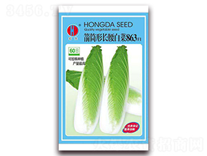 ��Ͳ���L���ײ�863-�ײ˷N��-�����N�I