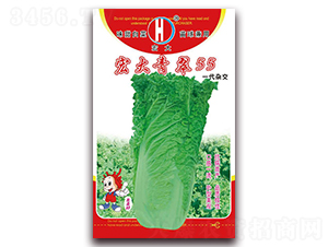 ������55-ֱͲ�ײ˷N��-�����N�I