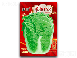 �˰�158-�ײ˷N��-�����N�I