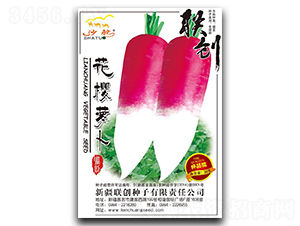 �����}��-�}���N��-��