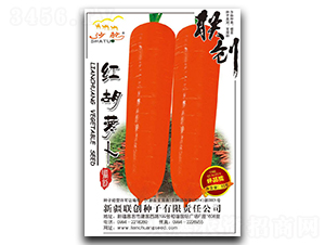 �t���}��-���}���N��-��