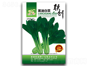 ���Ͱײ�-�ײ˷N��-��