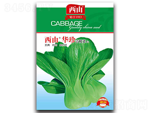 �����A��-�ײ˷N��-����