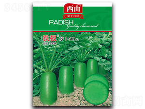 �F���}��501-�}���N��-����