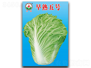 ������̖����ͨ��-�ײ˷N��-����