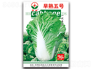 ����5̖-�ײ˷N��-����