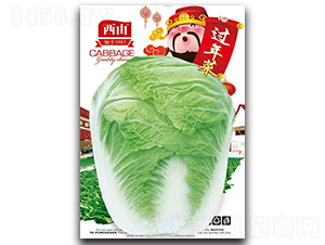 �^���-�ײ˷N��-����