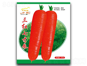 ���t�ߴ煢-�}���N��-(li��n)��(chu��ng)