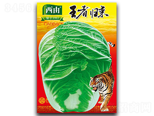 ���ߚw��-�ײ˷N��-����