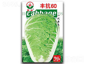 �S��60-�ײ˷N��-����