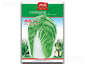 ����A80-�ײ˷N��-����