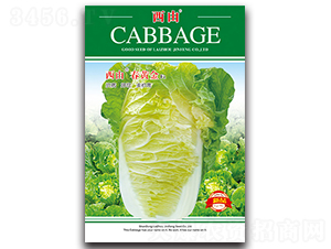 ���ɴ��S��-�ײ˷N��-����