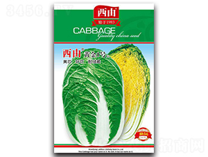 �S��1̖-�ײ˷N��-����