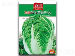 �༃�������s��̖-�ײ˷N��-����