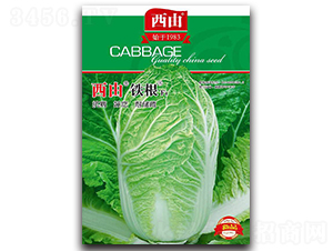 �����F��-�ײ˷N��-����