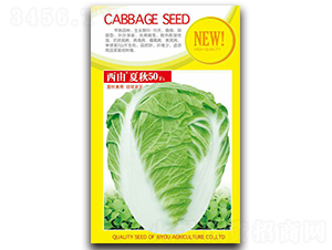 ����50-�ײ˷N��-����