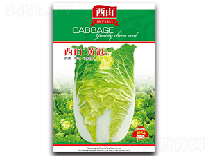 �����S��-�ײ˷N��-����