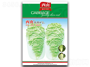 ��������6̖-�ײ˷N��-����