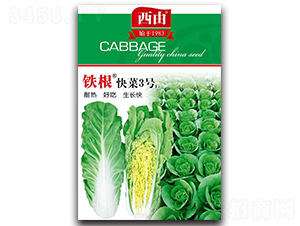 �F�����3̖-�ײ˷N��-����