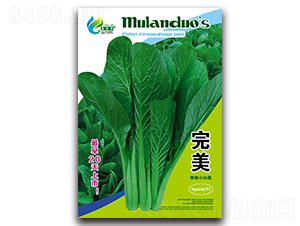 ����-�๣С�ײ˷N��-Ľ�m��