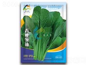 �๣�I��-�๣С�ײ˷N��-Ľ�m��