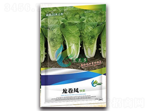 �����L-��˷N��-Ľ�m��