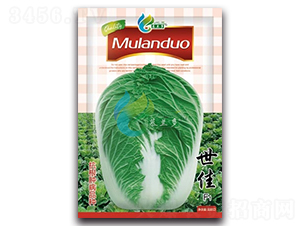 ����-�ײ˷N��-Ľ�m��