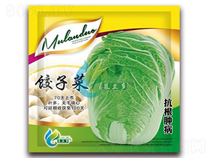 ��Ӳ�-�ײ˷N��-Ľ�m��