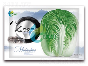 �����s����̖-�ײ˷N��-Ľ�m��