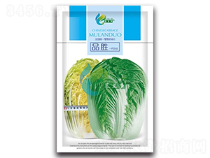 Ʒ��-�ײ˷N��-Ľ�m��