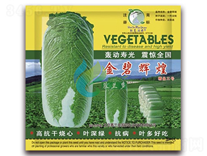 ����x��-�ײ˷N��-Ľ�m��