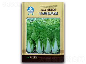 �������ۿ��-�ײ˷N��-�����o