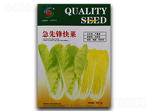 �����h���-�ײ˷N��-�����o