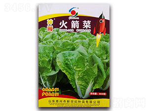 ��{�����-�ײ˷N��-�����o