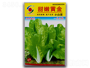 �����S��-�ײ˷N��-�����o