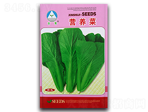 �I�B��-�ײ˷N��-�����o