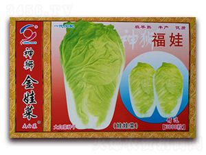 ����-���޲˷N��-�����o