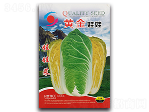 �S������-���޲˷N��-�����o