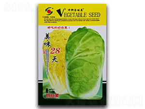 ��ζ28��-���޲˷N��-�����o