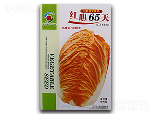 �t��65��-��ײ˷N��-�����o